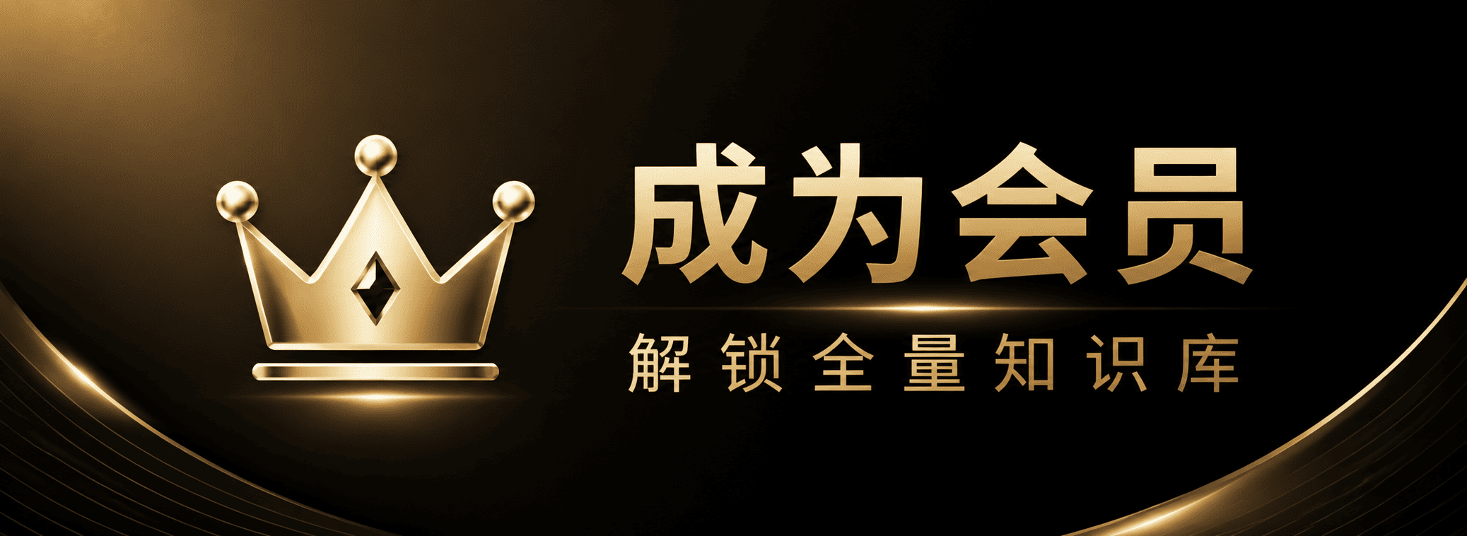 成为VIP会员